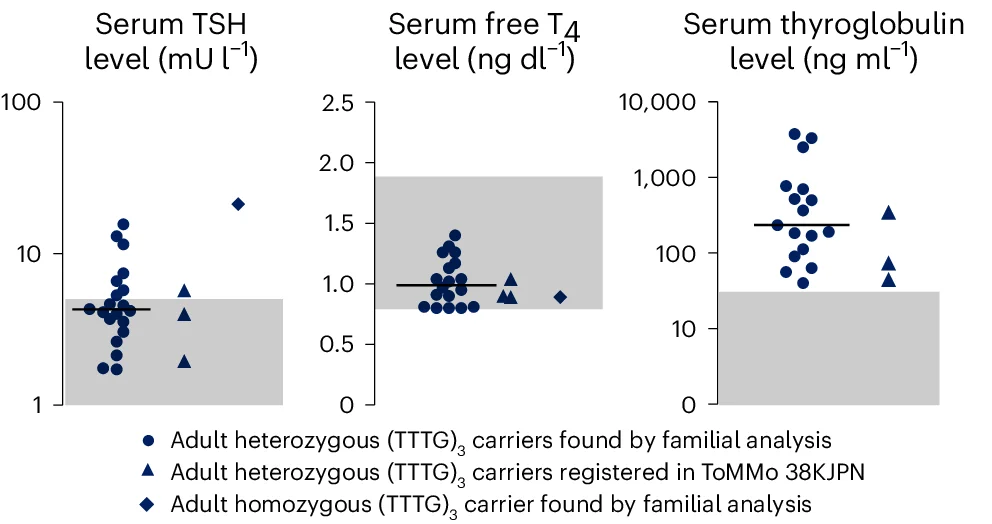Open access visualization of Scatter Plot, Thyroid Function Test, TSH, Free T4, Thyroglobulin