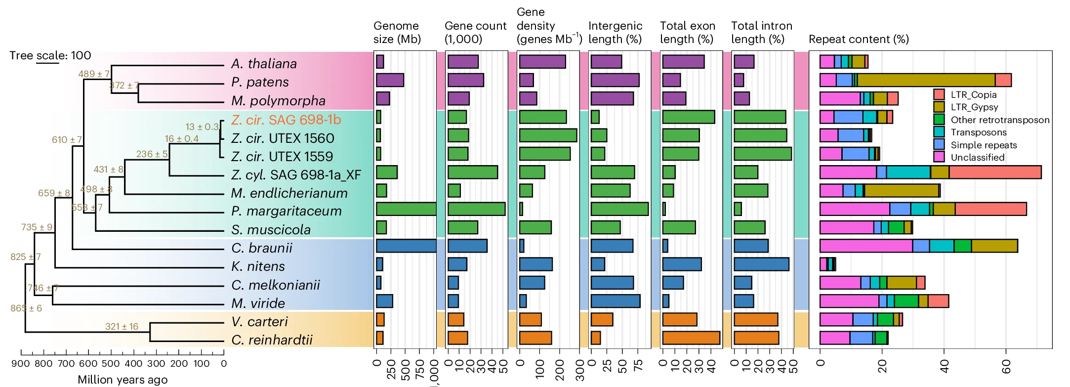 Open access visualization of Bar Plot, Stacked Bar Plot, Genome Properties, Algal Species, Land Plant Species