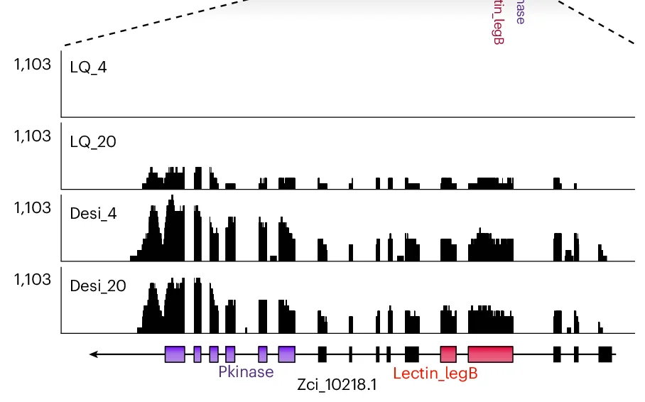 Open access visualization of Histogram, RNA-seq, Read Mapping, Zci_10218.1, Chlamydomonas reinhardtii