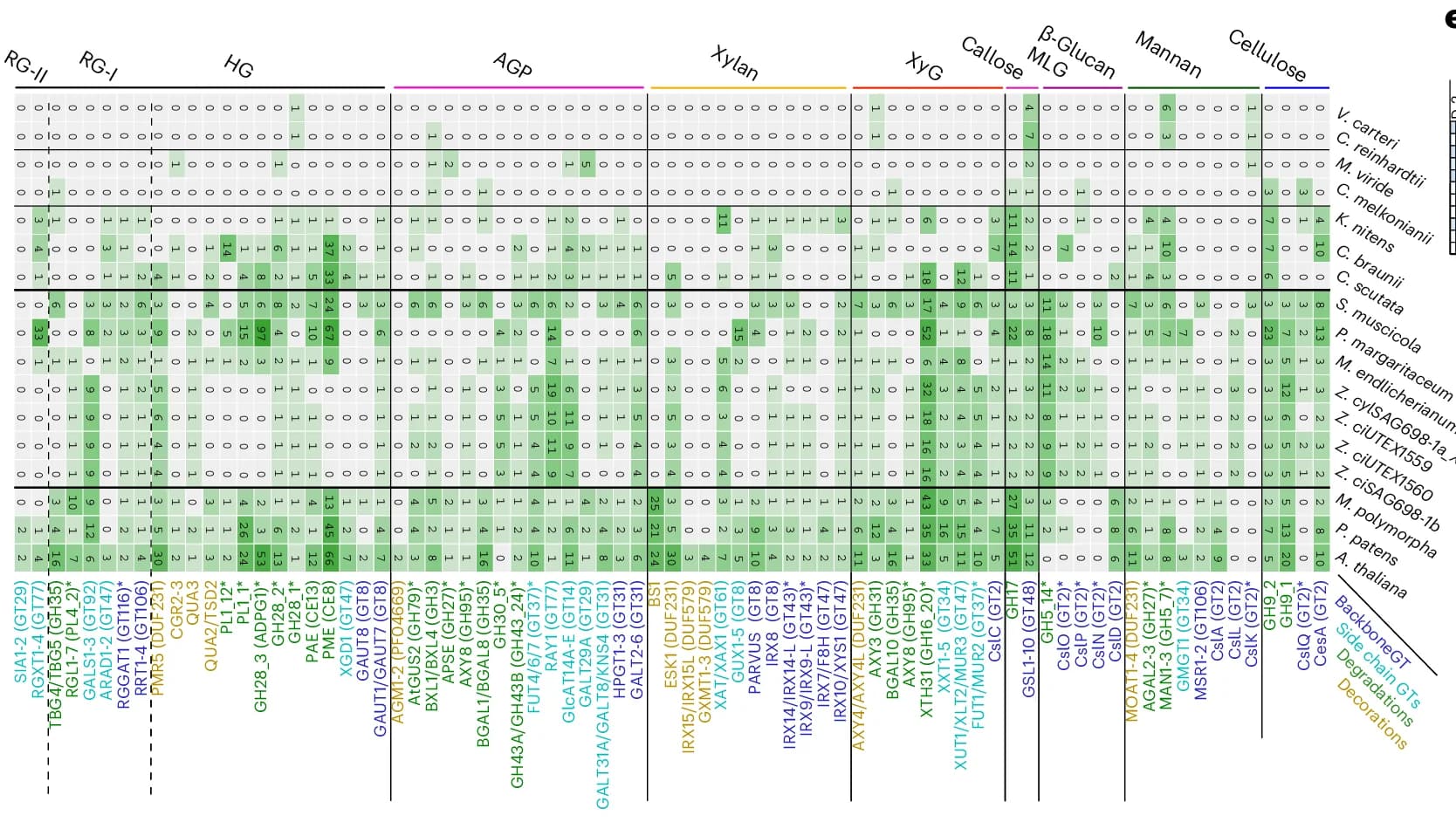 Open access visualization of Heatmap, Homolog Presence, Enzyme Subfamilies, Plant Genomes, Algal Genomes