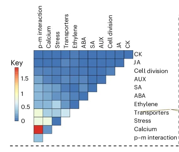 Open access visualization of Heatmap, Gene Co-expression, Plant-Microbe Interaction, Calcium Signaling, Stress