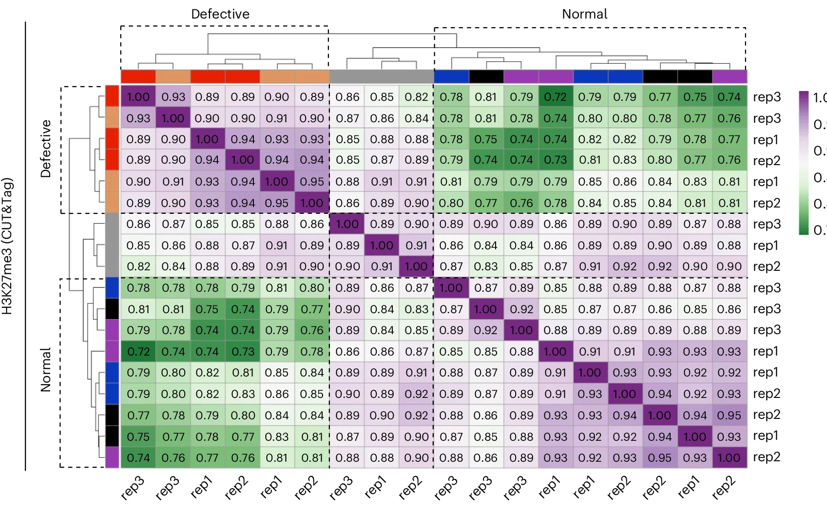 Open access visualization of Heatmap, Clustered, H3K27me3 CUT&Tag, Unsupervised Clustering, Pearson's Correlation