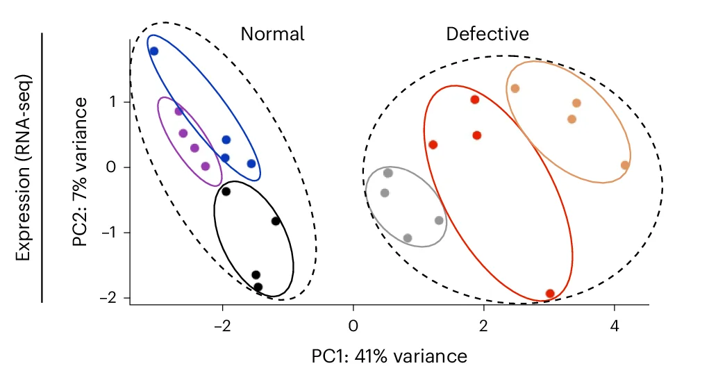 Open access visualization of Scatter Plot, PCA, RNA-seq, Cell Lines, Principal Component Analysis