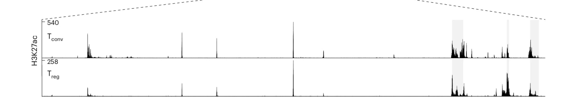 Open access visualization of Line Plot, H3K27ac, T Conv Cells, T Reg Cells, TAD