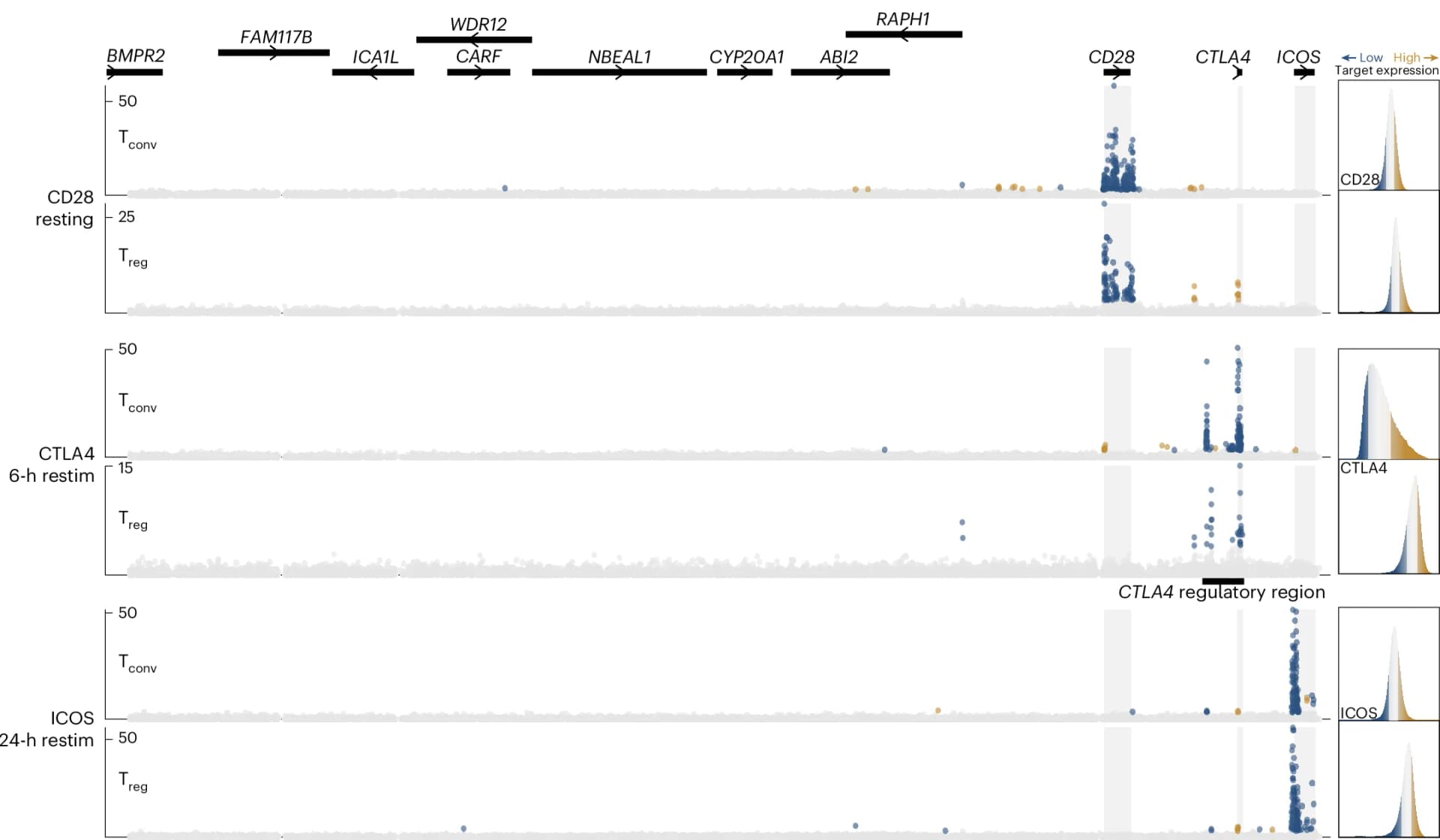 Open access visualization of Scatter Plot, Density Plot, Locuszoom Plot, Gene Bodies, TAD