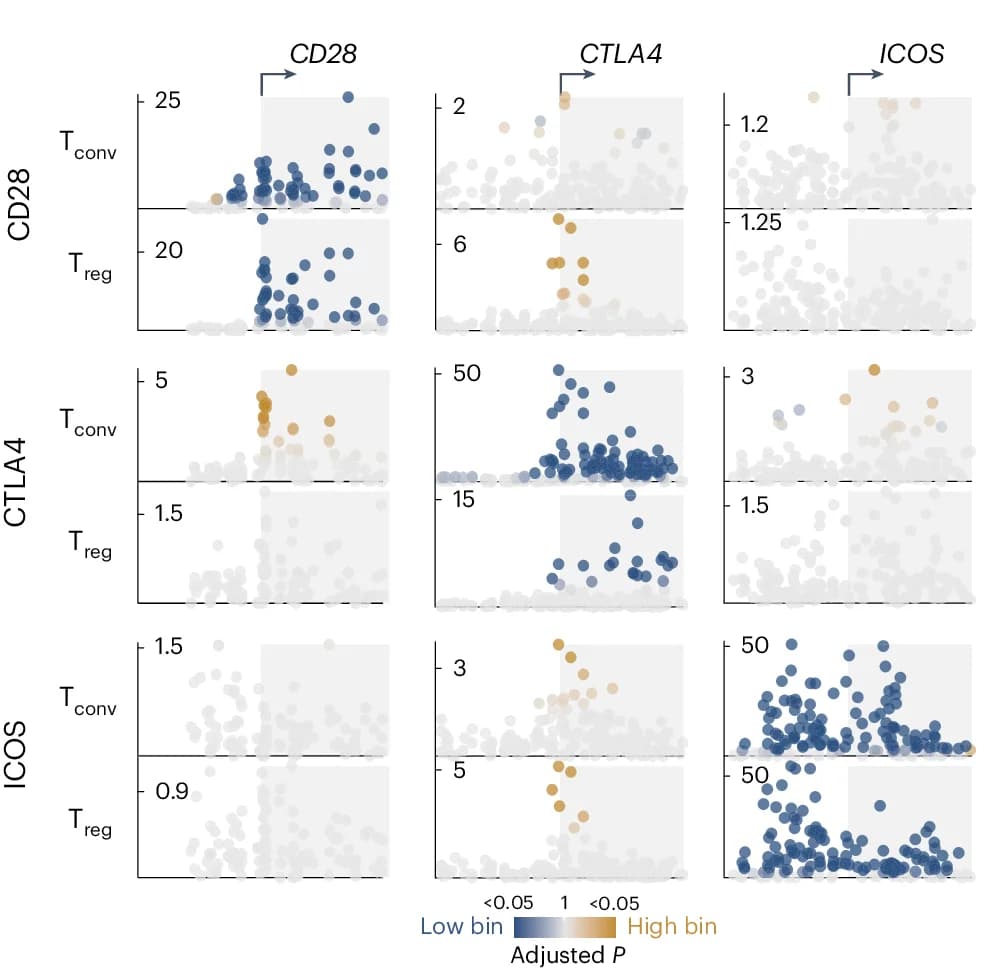Open access visualization of Scatter Plot, CRISPRi Tiling Screen, Target Gene, T Conv Cells, T Reg Cells