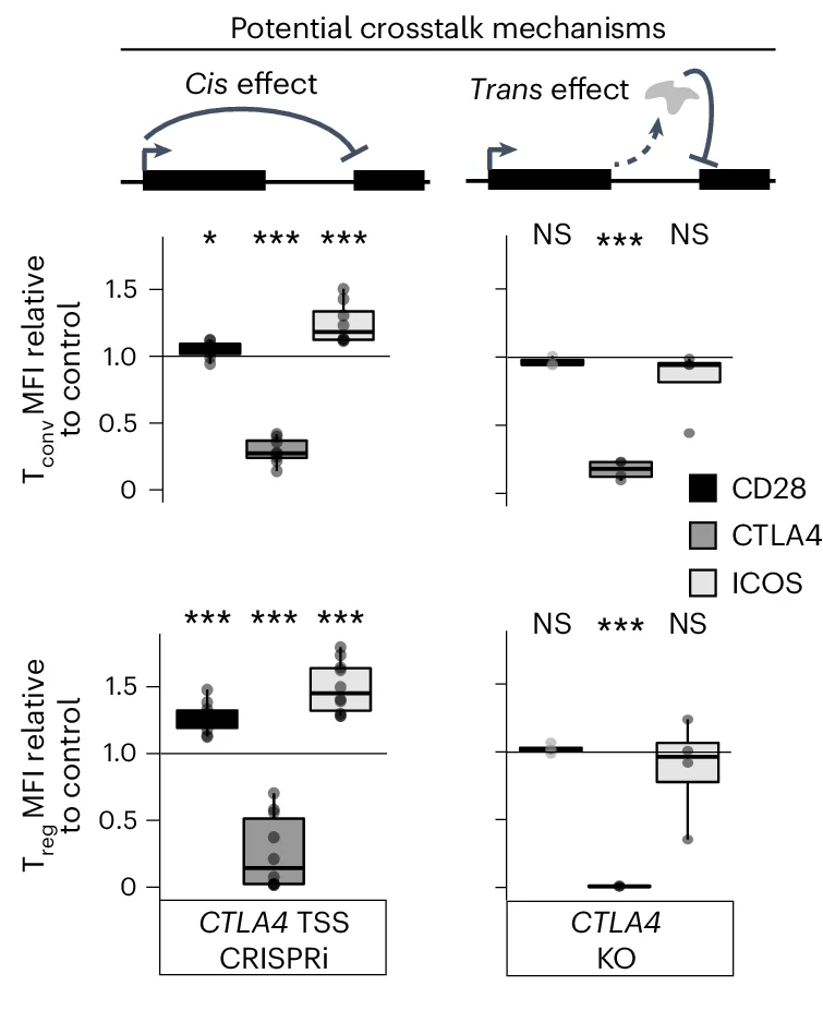 Open access visualization of Box Plot, Target Protein Expression, T Conv Cells, T Reg Cells, CRISPRi Targeting