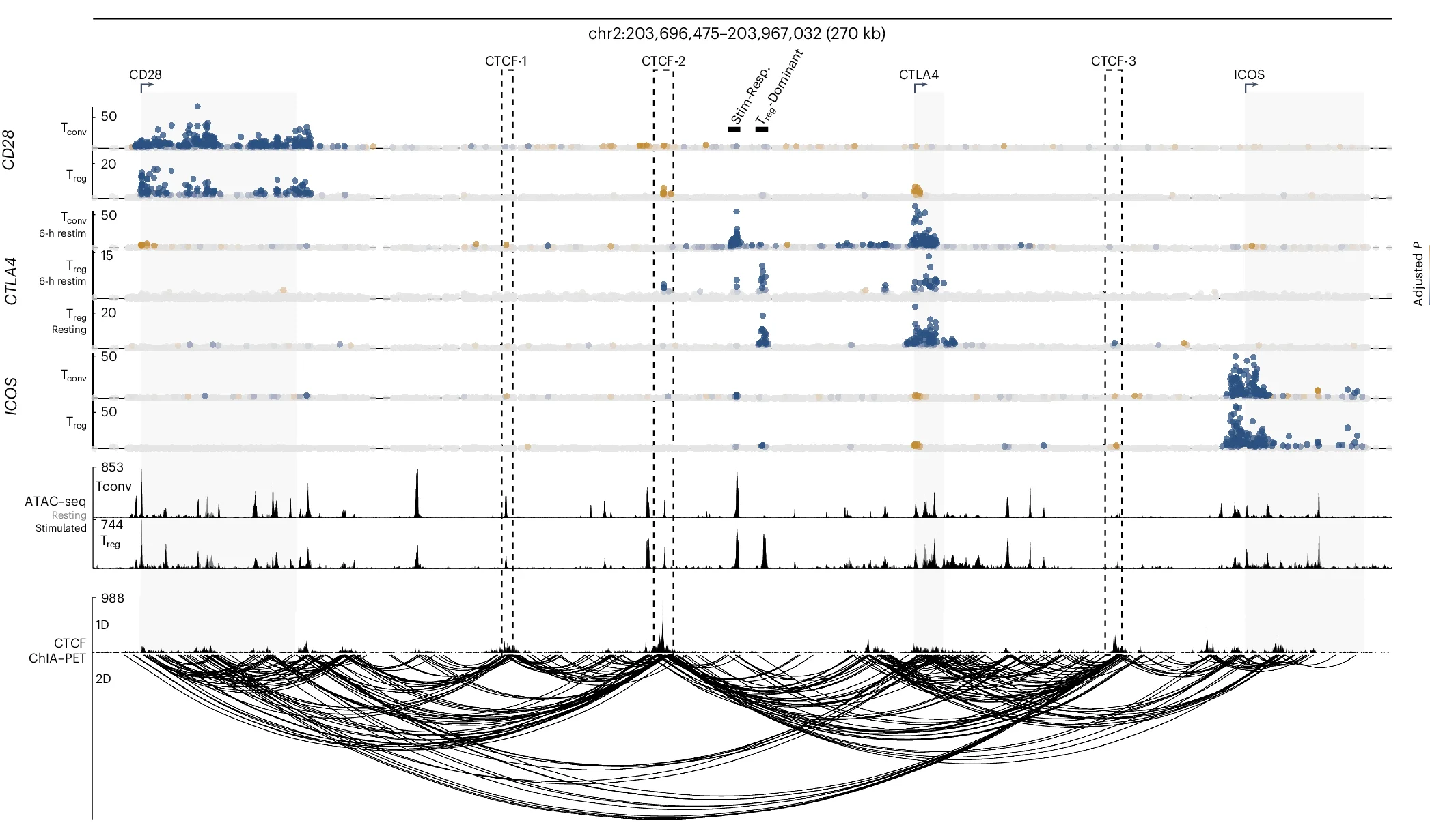 Open access visualization of Scatter Plot, Line Plot, Network, Line Step, CRISPRi Tiling Screen