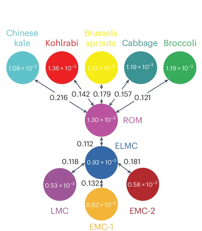 Open access visualization of Pathway, Network, Nucleotide Diversity, Population Divergence, B. oleracea