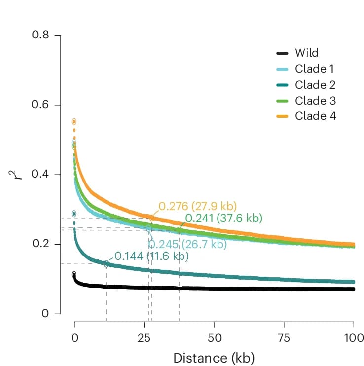 Open access visualization of Line Plot, LD Decay, r2 Values