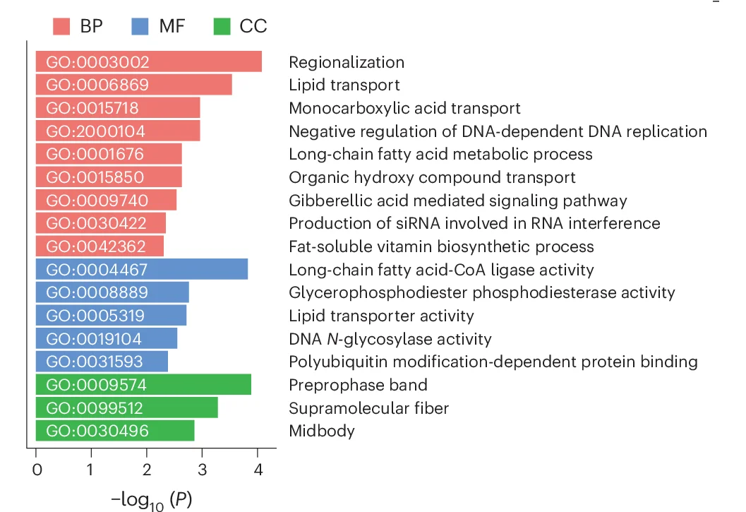 Open access visualization of Bar Plot, GO Enrichment Analysis, Genes, Identical Regions, B. cretica