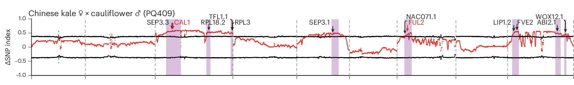 Open access visualization of Line Plot, Bulked Segregant Analysis, BSA, F2 Populations, Curdless