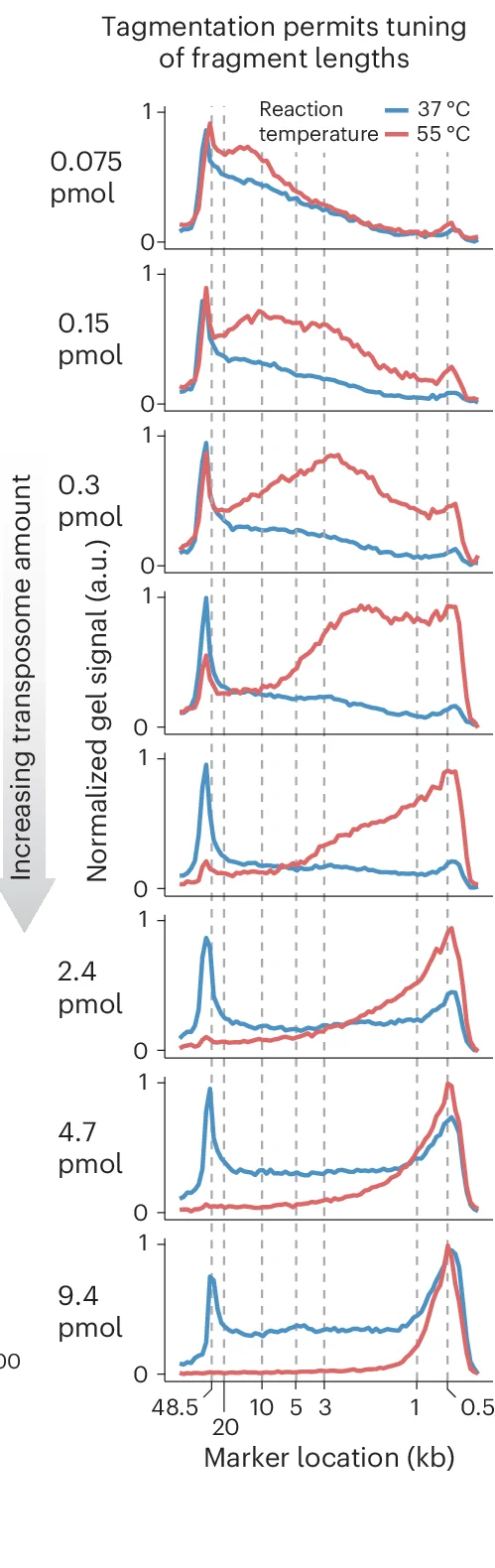 Open access visualization of Line Plot, Density Plot, Hairpin-loaded Transposomes, gDNA Fragmentation, Reaction Temperature