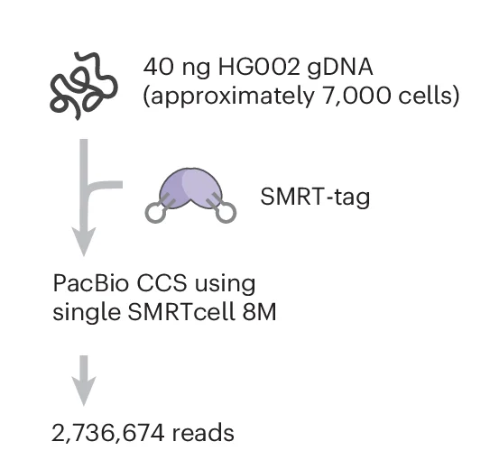 Open access visualization of Workflow, Flowchart, SMRT-Tag Libraries, gDNA, Human Cells