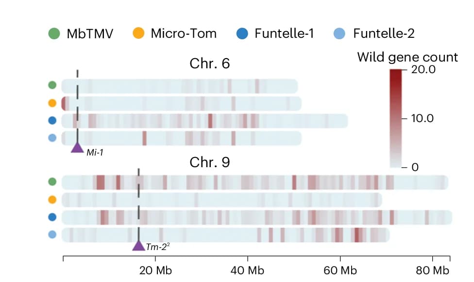 Open access visualization of Heatmap, Gene Frequency, Genome Haplotype