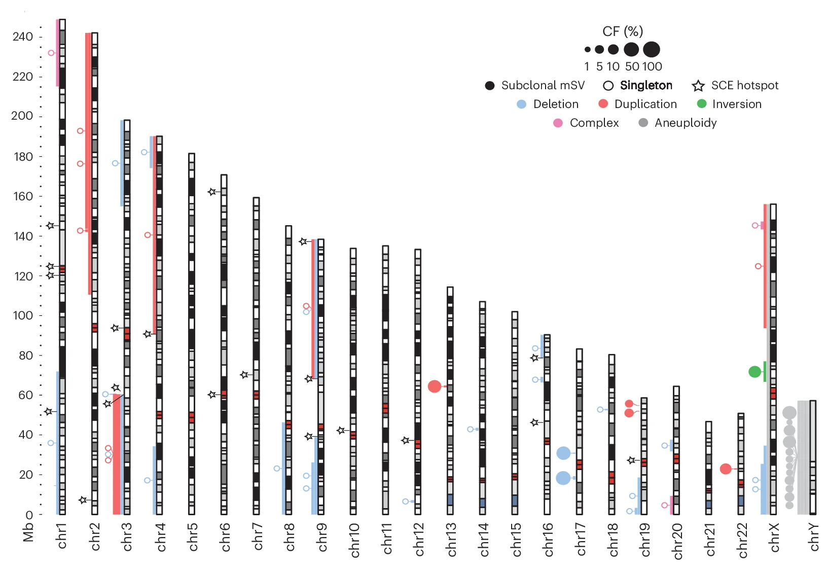 Open access visualization of Scatter Plot, Manhattan Plot, Genome-wide karyogram, mSVs, Cell Fraction