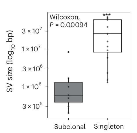 Open access visualization of Box Plot, Scatter Plot, Singleton mSVs, Subclonal mSVs, Base Pairs