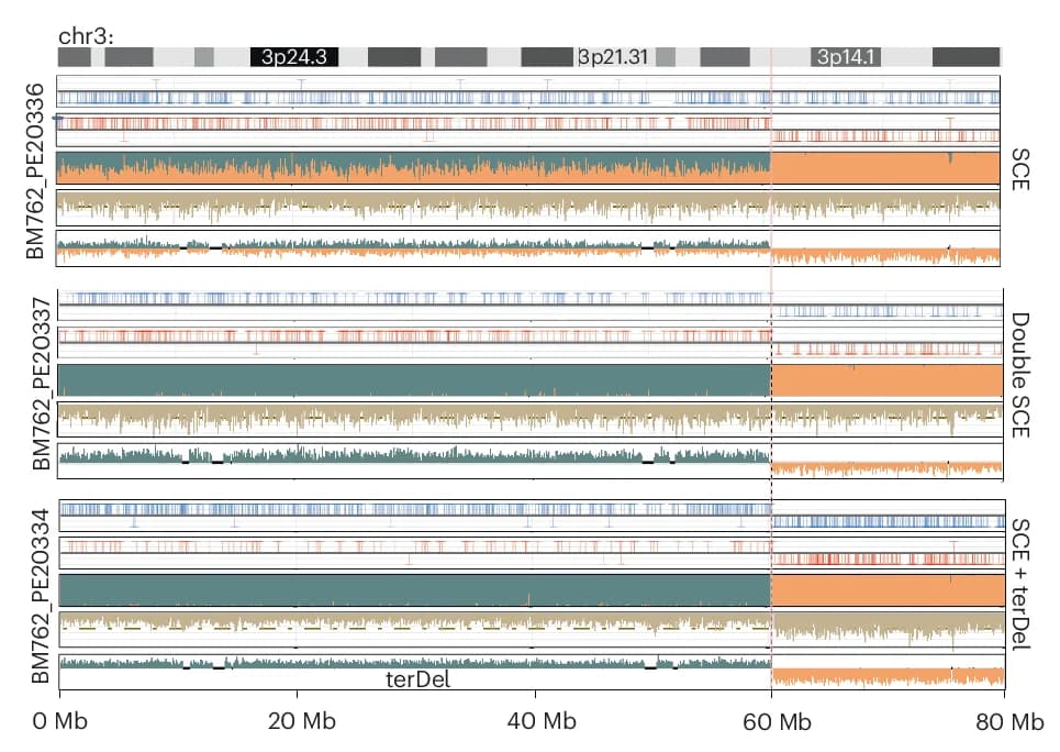 Open access visualization of Line Plot, Strand-seq, SCE, mSV, SCE hotspot