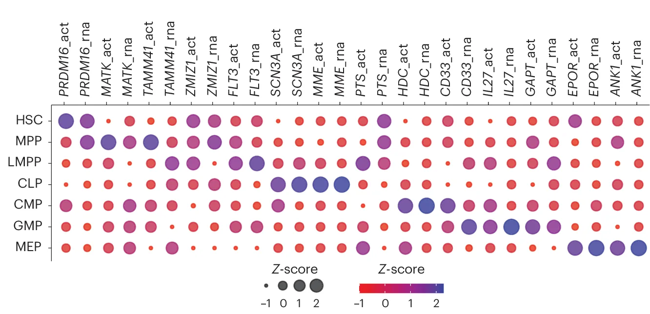 Open access visualization of Bubble Plot, Heatmap, Gene Activity, Nucleosome Occupancy, Gene Expression