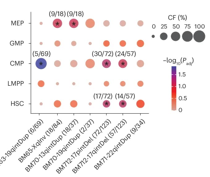 Open access visualization of Bubble Plot, Cell-Type Enrichment Analysis, mSV, Subclone, Dotplot