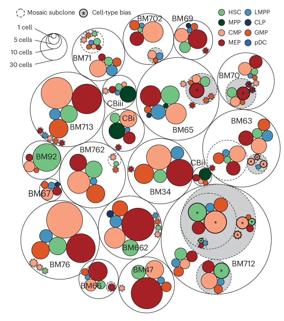 Open access visualization of Bubble Plot, mSV, Cell-Type Composition, Subclone, Circle-Packing Plot