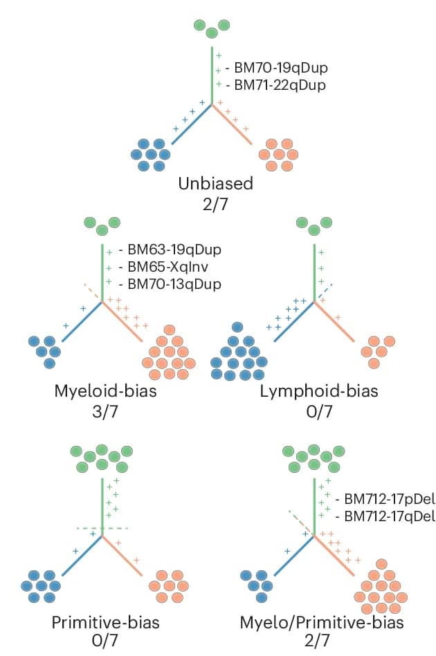 Open access visualization of Illustration, Workflow, Lineage Biases, Subclonal mSVs, LOY