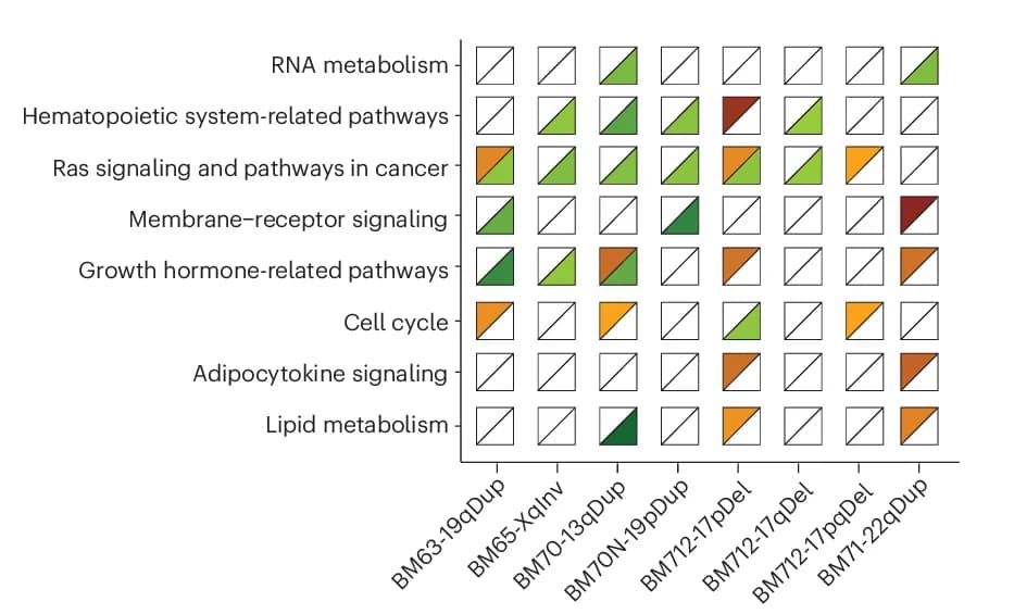 Open access visualization of Heatmap, Enrichment Analysis, Pathways, Jaccard Similarity, Subclonal mSVs