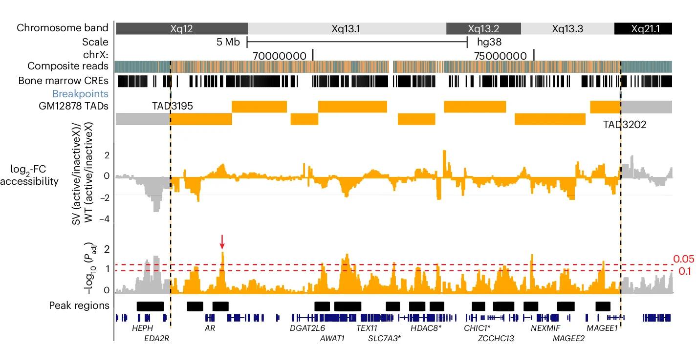Open access visualization of Line Plot, Bar Plot, Genome Browser, Inversion Breakpoints, TAD Boundaries