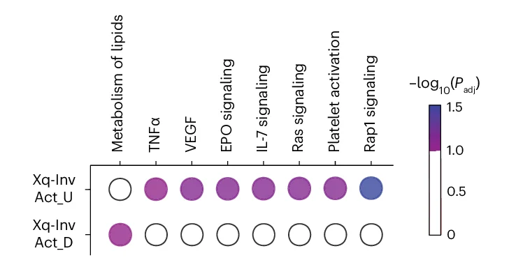 Open access visualization of Heatmap, Pathways, diffNO, Genes, Hypergeometric Test