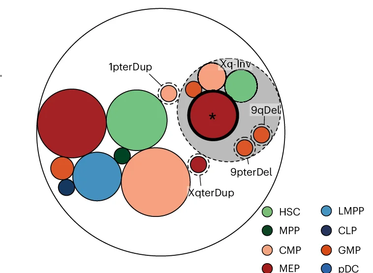 Open access visualization of Bubble Plot, Circle-Packing Plot, Cell Type, mSVs, Terminal Duplication