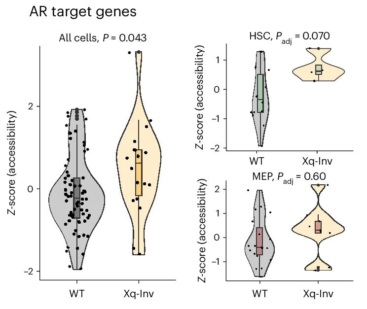 Open access visualization of Violin Plot, Box Plot, Scatter Plot, NO, AR Target Genes