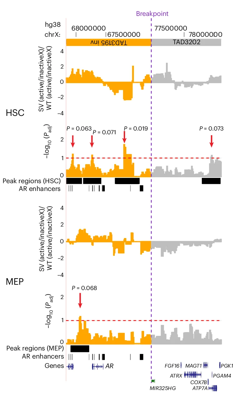 Open access visualization of Line Plot, Cell Type, NO, CREs, mSV Subclone