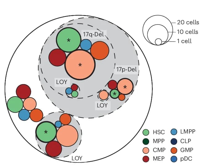 Open access visualization of Venn Diagram, Circle-Packing Plot, mSVs, BM712