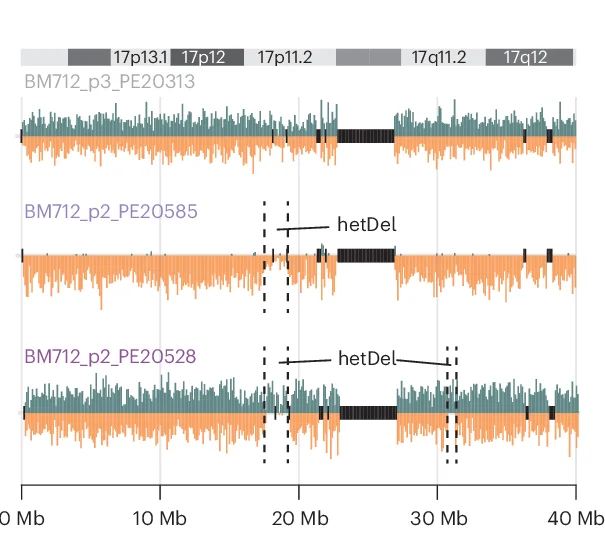 Open access visualization of Line Plot, Strand-seq Karyograms, WT, 17p-Del, 17q-Del