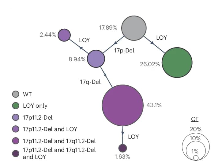 Open access visualization of Network, Pathway, Bubble Hierarchy Plot, mSVs, BM712