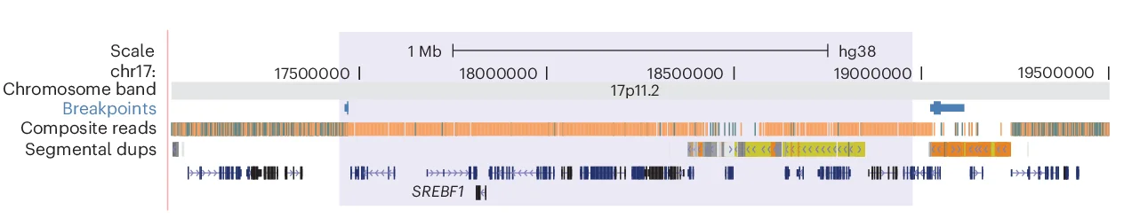Open access visualization of Locuszoom Plot, Bar Plot, UCSC Genome Browser Tracks, 17p-Del, Genomic Segments