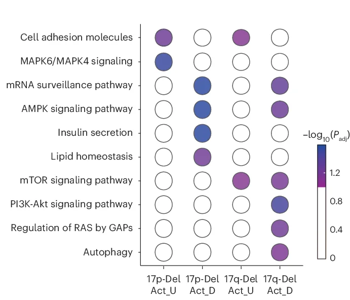 Open access visualization of Bubble Plot, Pathway Over-representation Analysis, ConsensusPathDB, Genes, 17p-Del