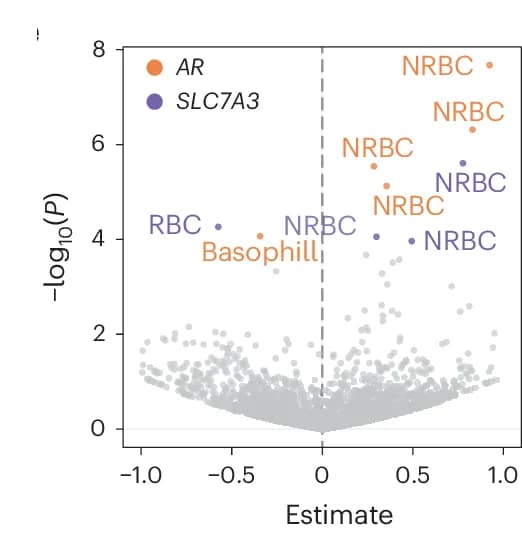 Open access visualization of Volcano Plot, Scatter Plot, Association Test, Missense SNVs, Xq-Inv