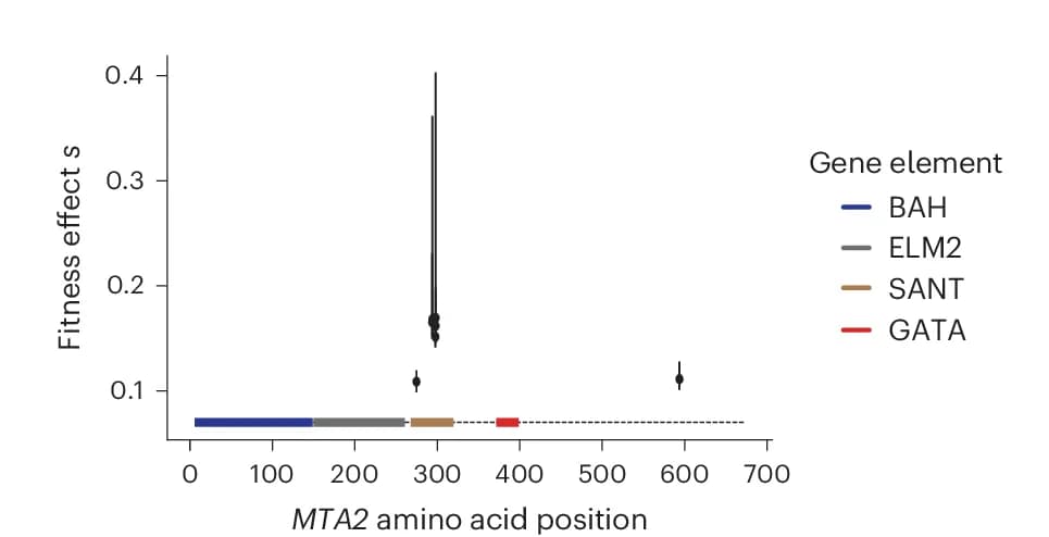 Open access visualization of Scatter Plot, Error Bars, Fitness Estimates, MTA2, Gene Body