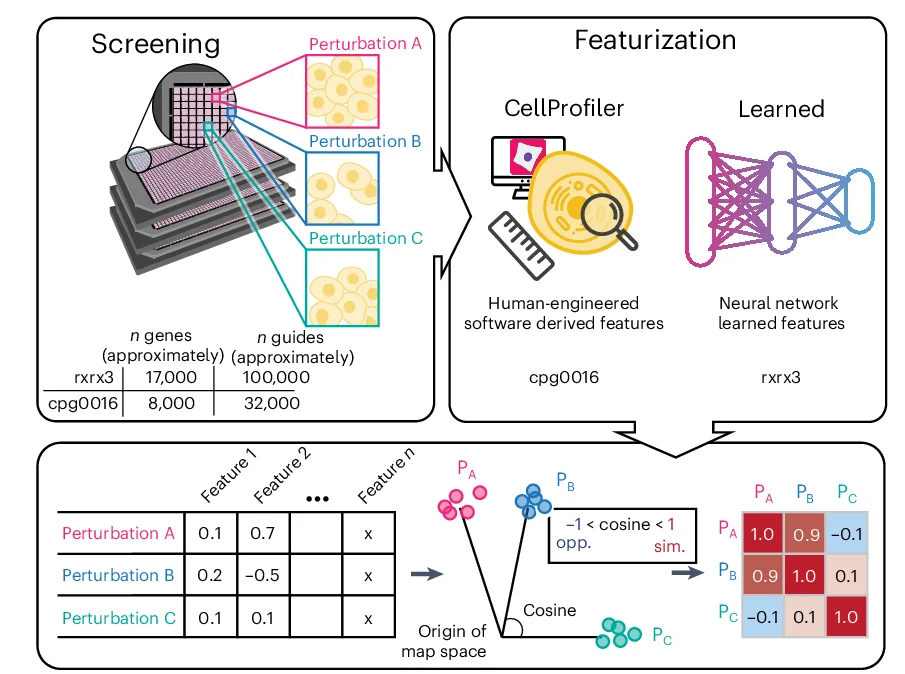Open access visualization of Workflow, Table Image, Scatter Plot, Heatmap, Phenomics
