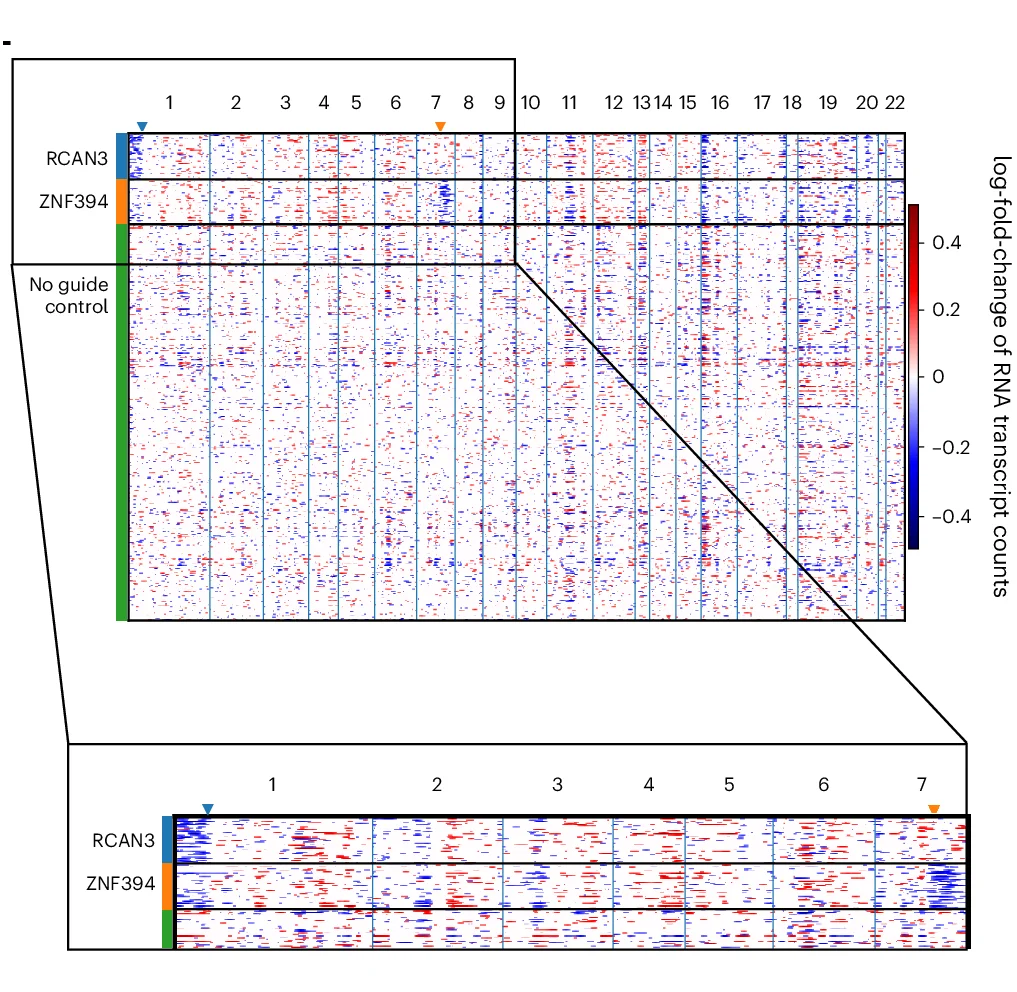 Open access visualization of Heatmap, Heat Map, Copy Number Change, Bulk RNA Sequencing, Chromosome Regions