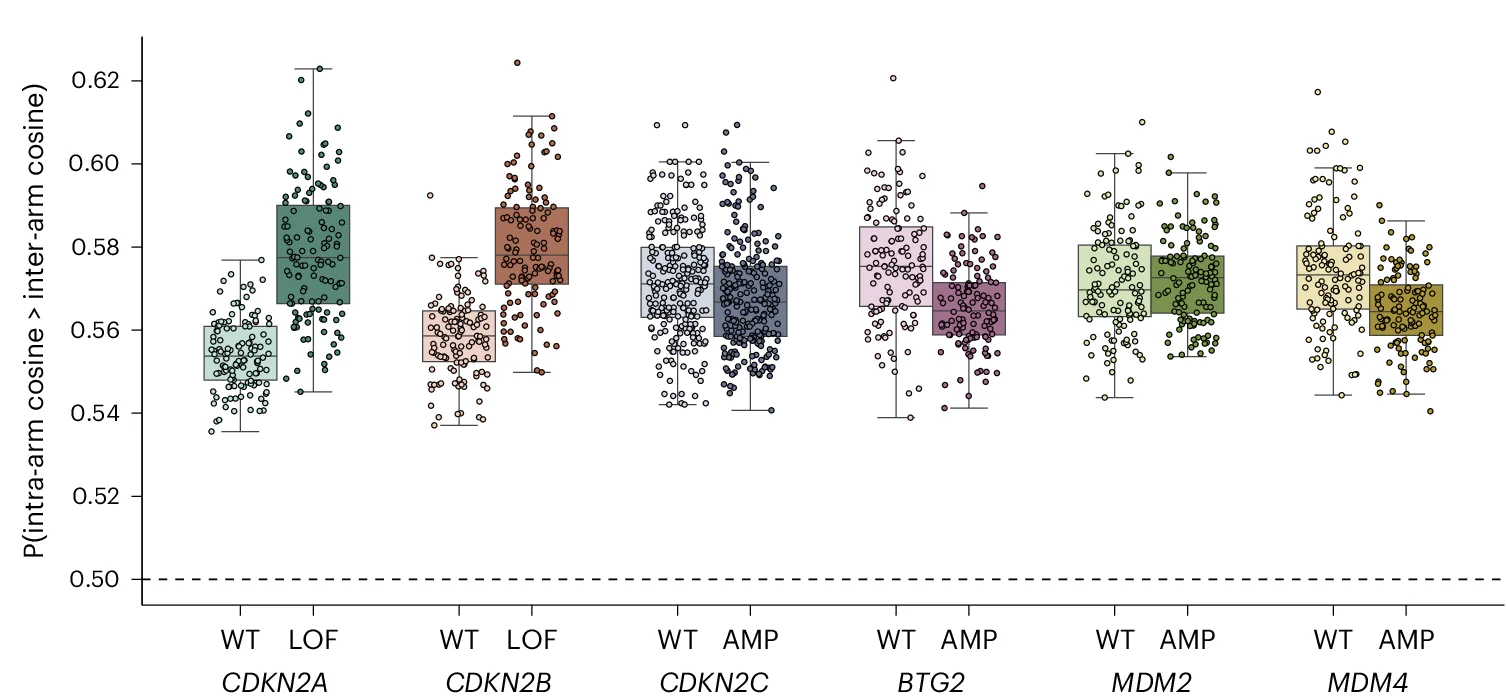 Open access visualization of Box Plot, Scatter Plot, Raincloud Plot, Genes, Conditions