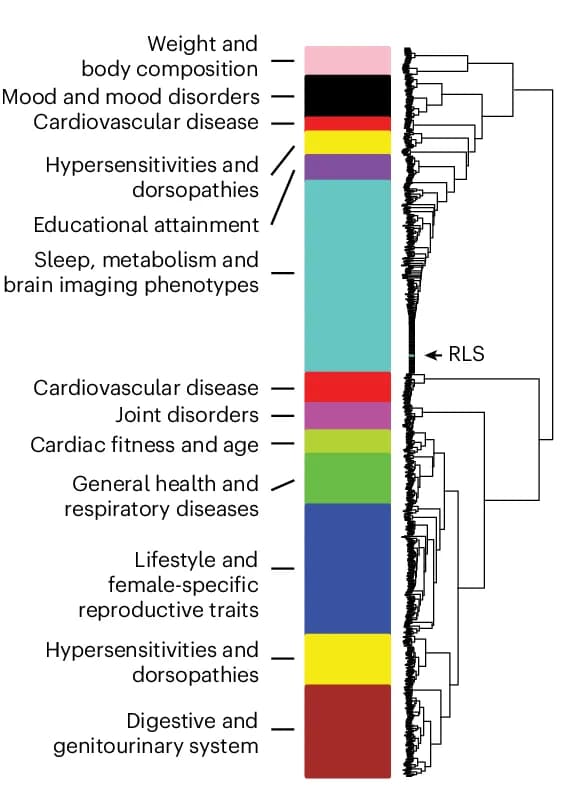 Open access visualization of Stacked Bar Plot, Clustered, Hierarchical Clustering, Weighted Correlation Matrix, WGCNA Package