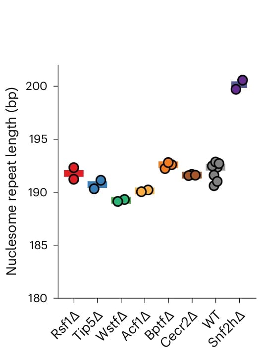 Open access visualization of Scatter Plot, NRL, SNF2H, Cell Line, MNase-seq