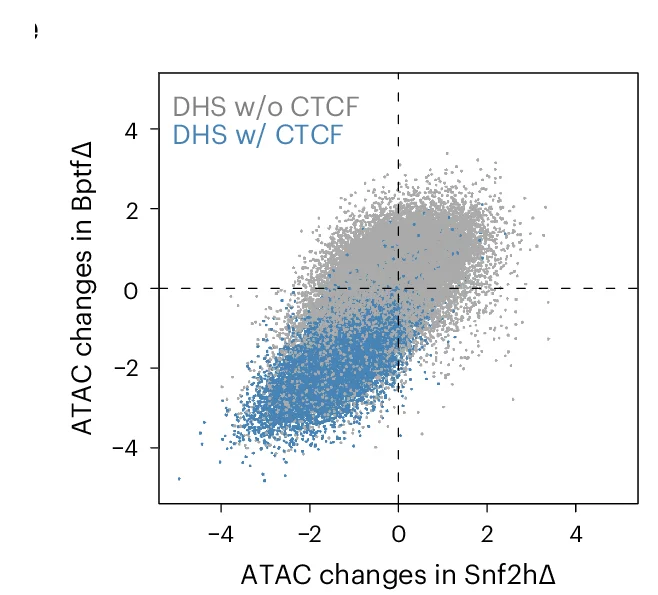 Open access visualization of Scatter Plot, Chromatin Accessibility, DHS, Snf2h, Bptf