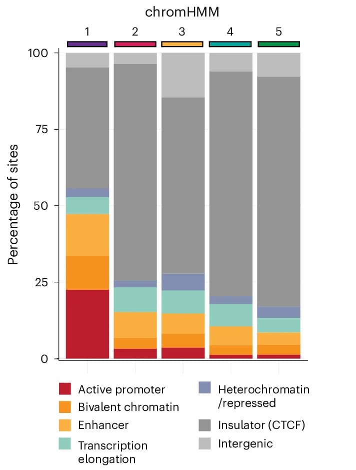 Open access visualization of Stacked Bar Plot, Chromatin States, CTCF Motifs, chromHMM, Clusters