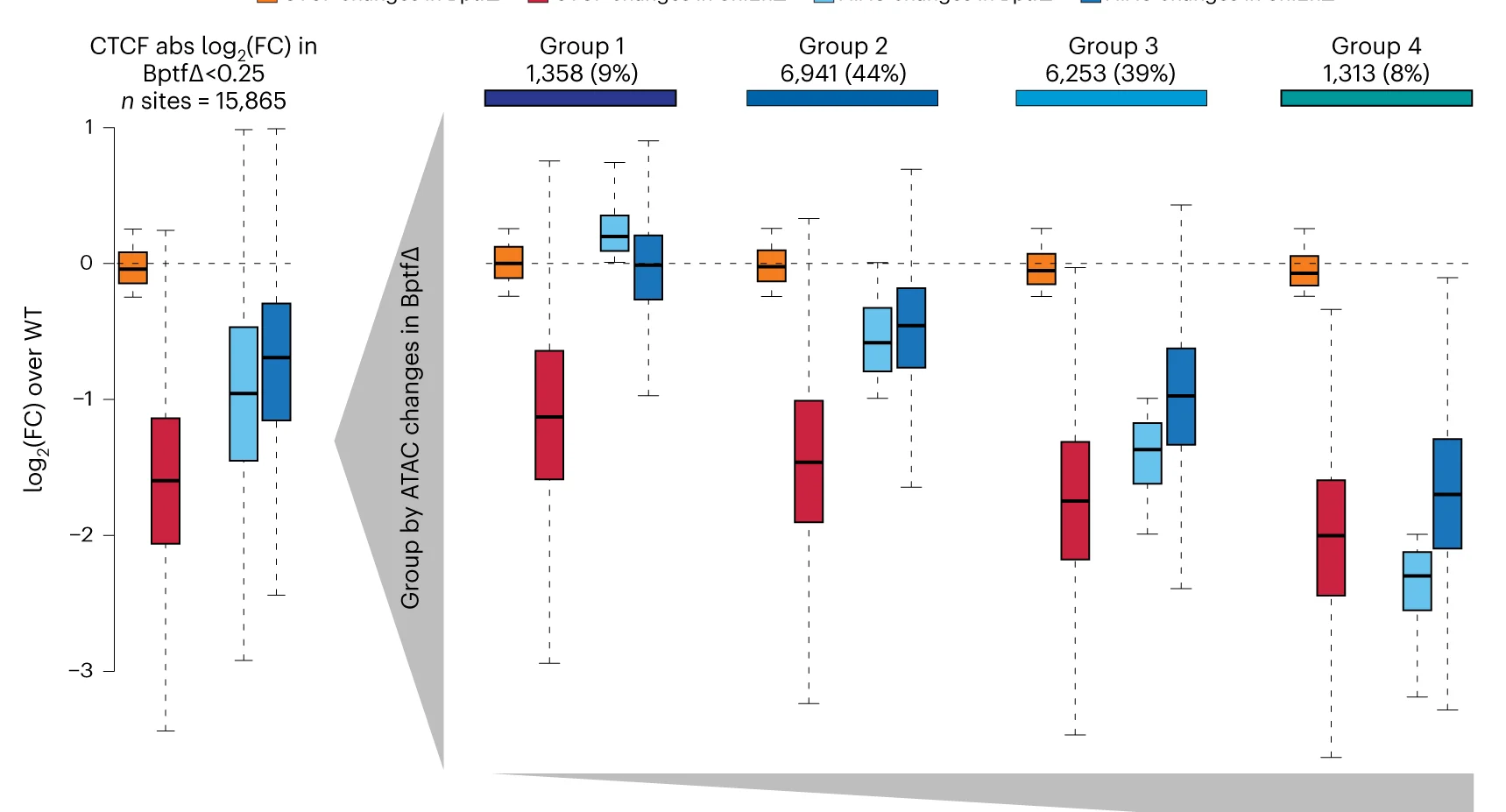 Open access visualization of Box Plot, CTCF ChIP-Seq, ATAC-Seq, CTCF Sites, BPTF