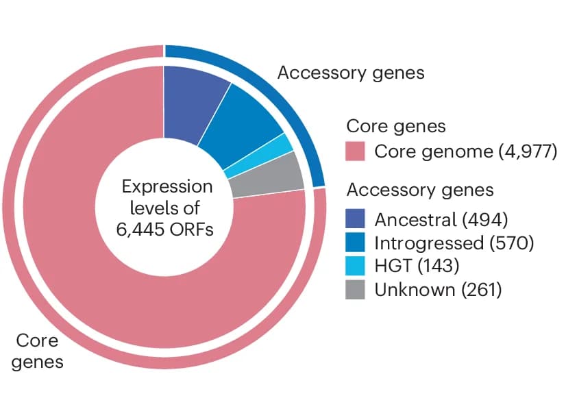 Open access visualization of Donut Chart, Pie Chart, Transcripts, Core Genes, Accessory Genes