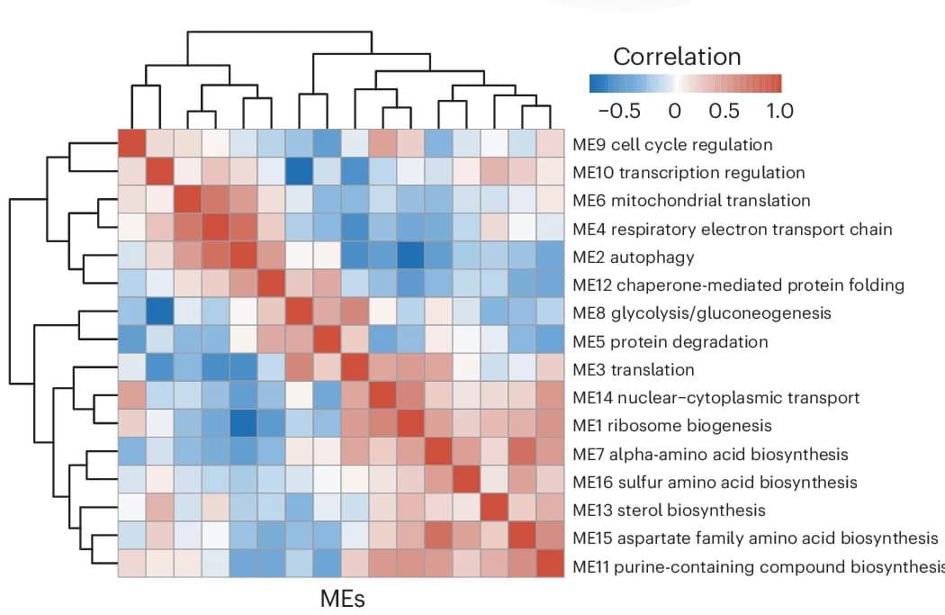 Open access visualization of Heatmap, Clustered, Similarity Matrix, Eigengene Expression, Modules