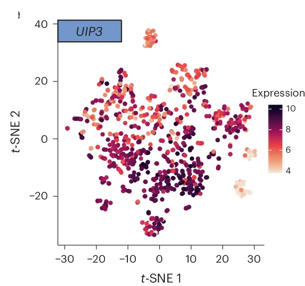 Open access visualization of Scatter Plot, UMAP, Domestication Signatures, Gene Expression, t-SNE